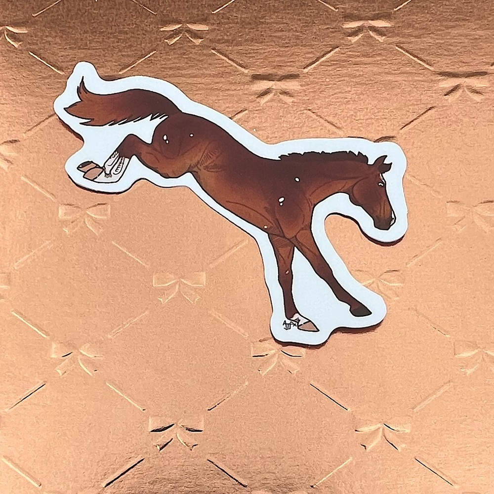 Buck Equestrian Horse Girl Horse Boy Cowboy CowGirl Single Decor Stic…